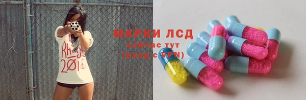 индика Волоколамск