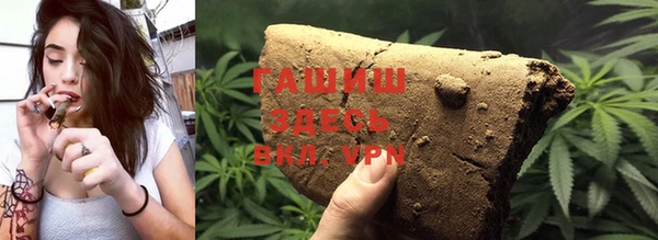 индика Волоколамск