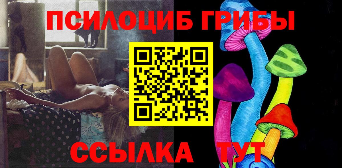 дарнет шоп  Псилоцибиновые грибы Magic Shrooms  Вход с VPN  Евпатория 